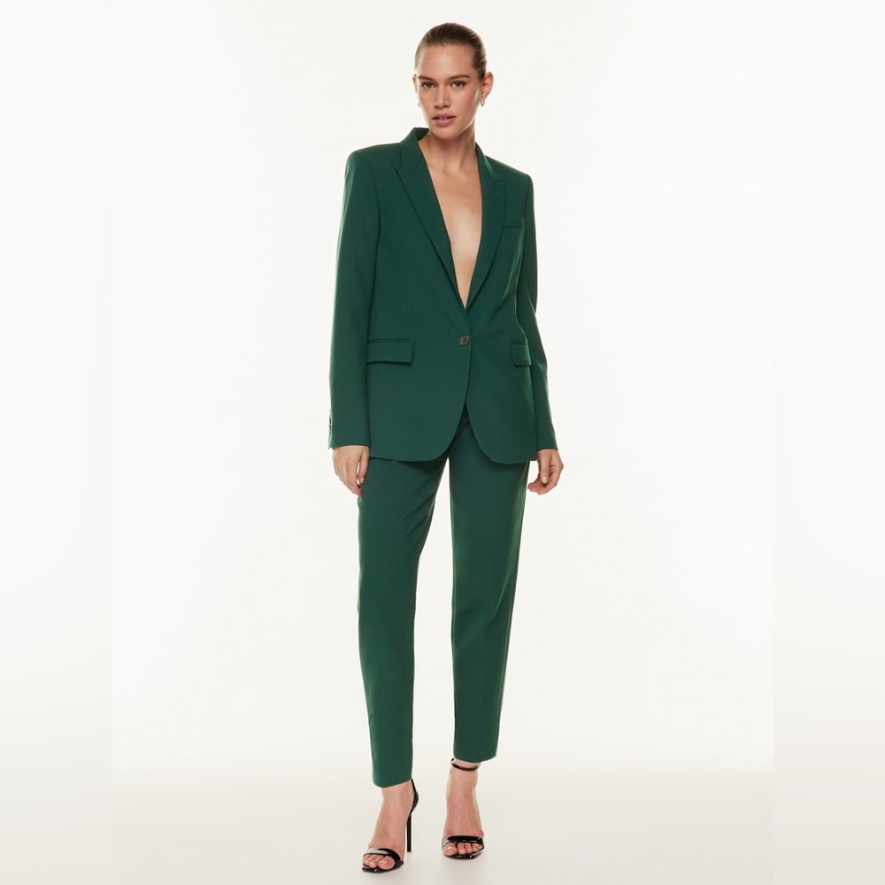 Aritzia Babaton Vogue Pants